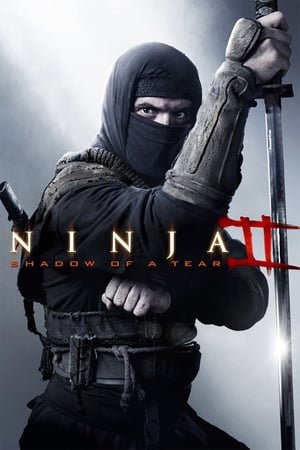 Xem phim Ternet Ninja 2